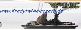 Ubezpieczenie, ubezpieczenia, ubezpieczony